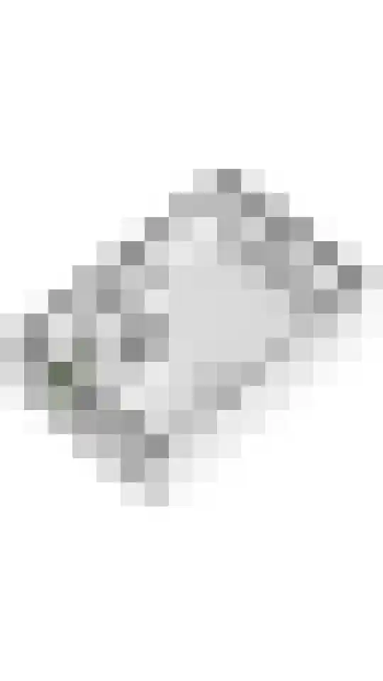 De Riegert 6 Est thumbnail 31