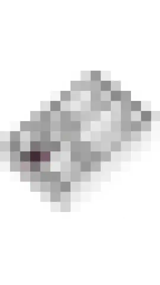 De Riegert 6 Est thumbnail 33