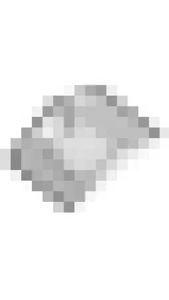 De Riegert 6 Est thumbnail 35