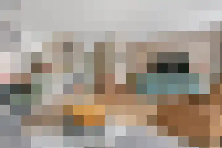 De Riegert 6 Est thumbnail 7