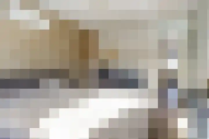de Riek 4 Heerhugowaard thumbnail 17