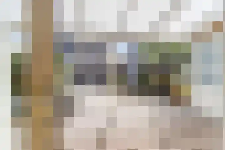 de Riek 4 Heerhugowaard thumbnail 26