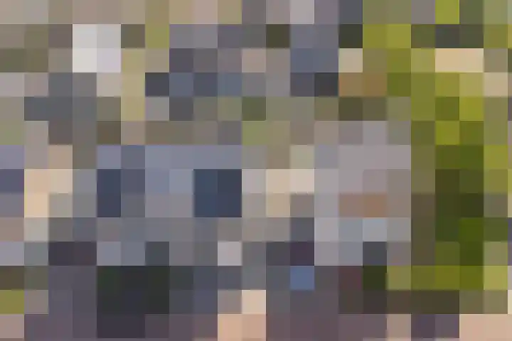 de Riek 4 Heerhugowaard thumbnail 4