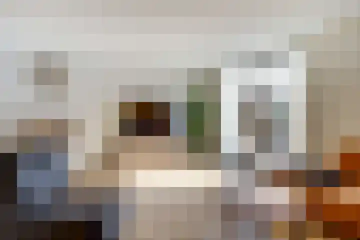 de Riek 4 Heerhugowaard thumbnail 8