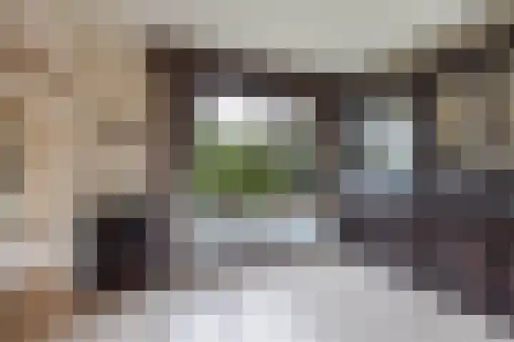 De Rien 54 Drachten thumbnail 12