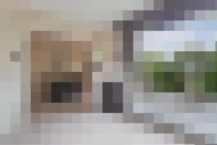 De Rien 54 Drachten thumbnail 15