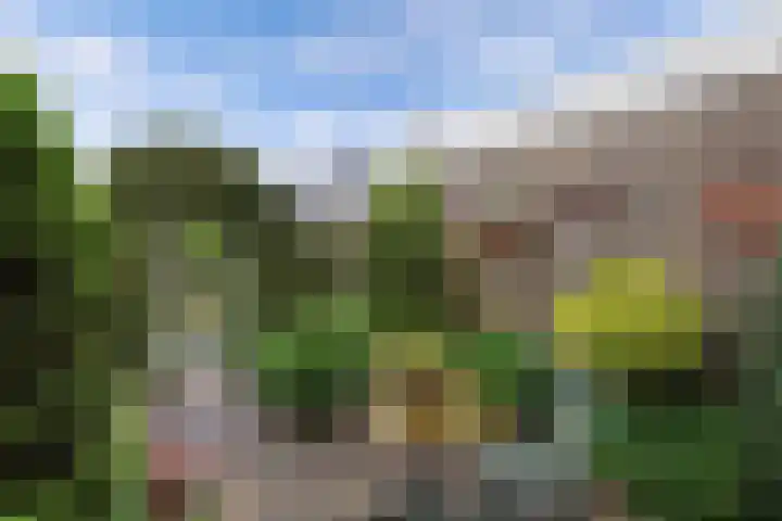 De Rien 54 Drachten thumbnail 23