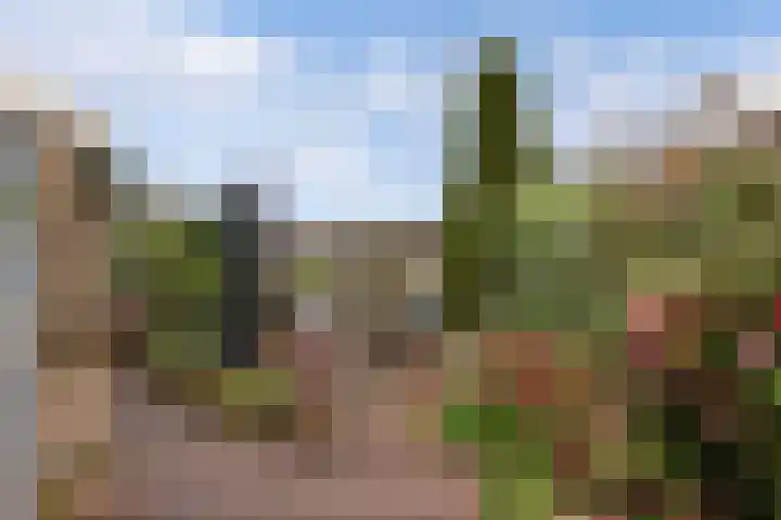 De Rien 54 Drachten thumbnail 24