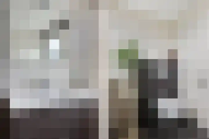 De Rien 54 Drachten thumbnail 35