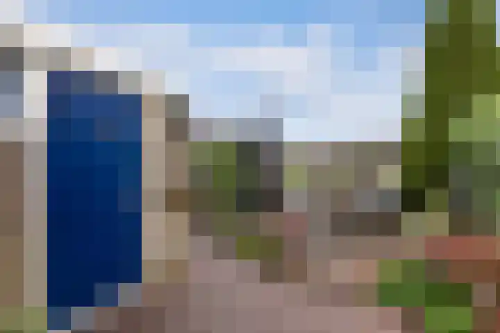 De Rien 54 Drachten thumbnail 40