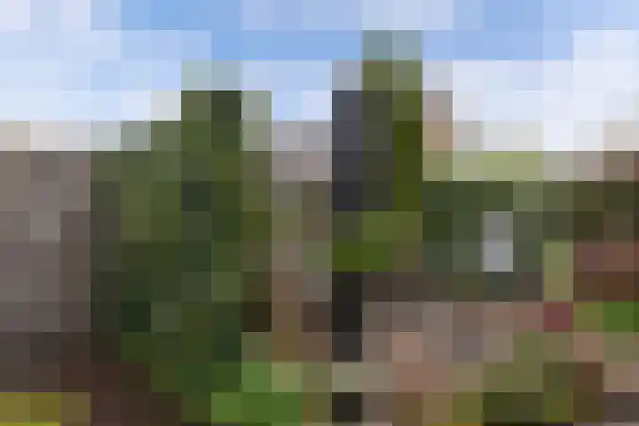 De Rien 54 Drachten thumbnail 41