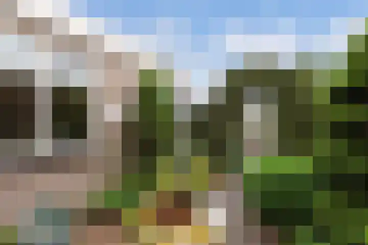 De Rien 54 Drachten thumbnail 42