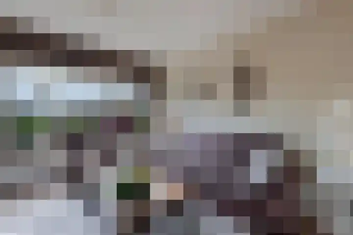 De Rien 54 Drachten thumbnail 8