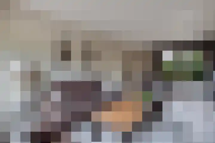 De Rien 54 Drachten thumbnail 9