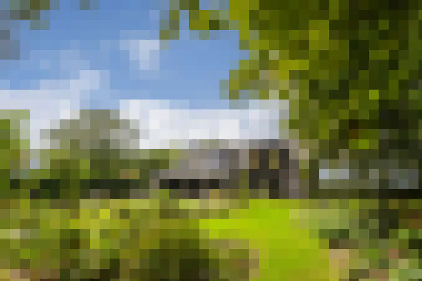 De Riet 16 Nederweert-Eind thumbnail 22