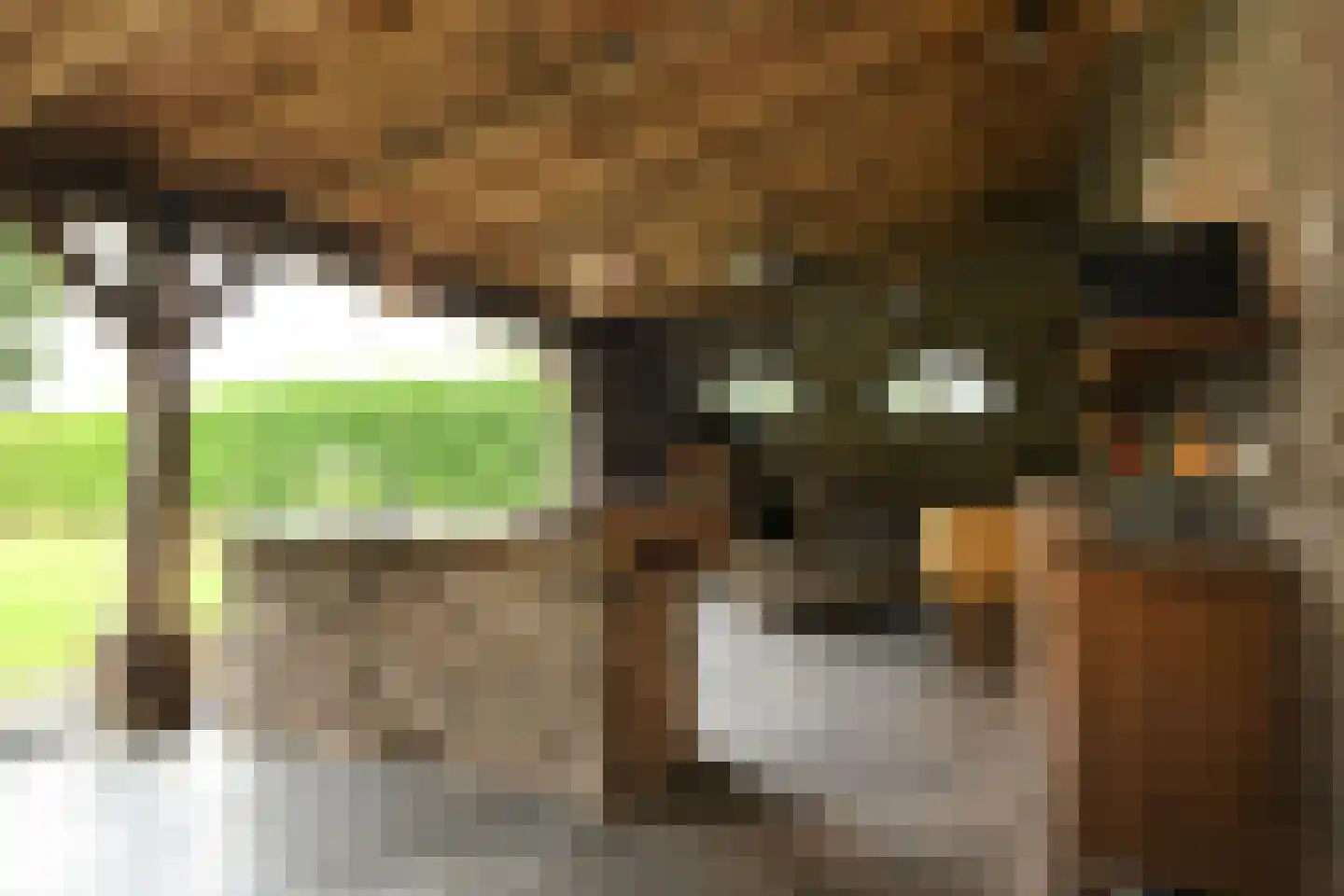 De Riet 16 Nederweert-Eind thumbnail 24