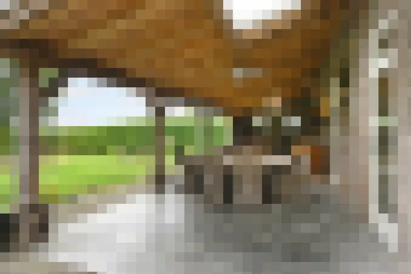 De Riet 16 Nederweert-Eind thumbnail 25