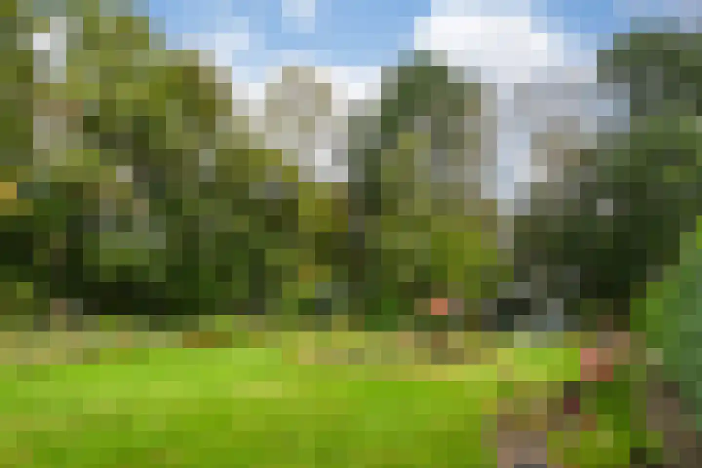 De Riet 16 Nederweert-Eind thumbnail 27