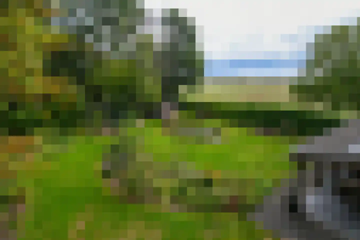 De Riet 16 Nederweert-Eind thumbnail 41