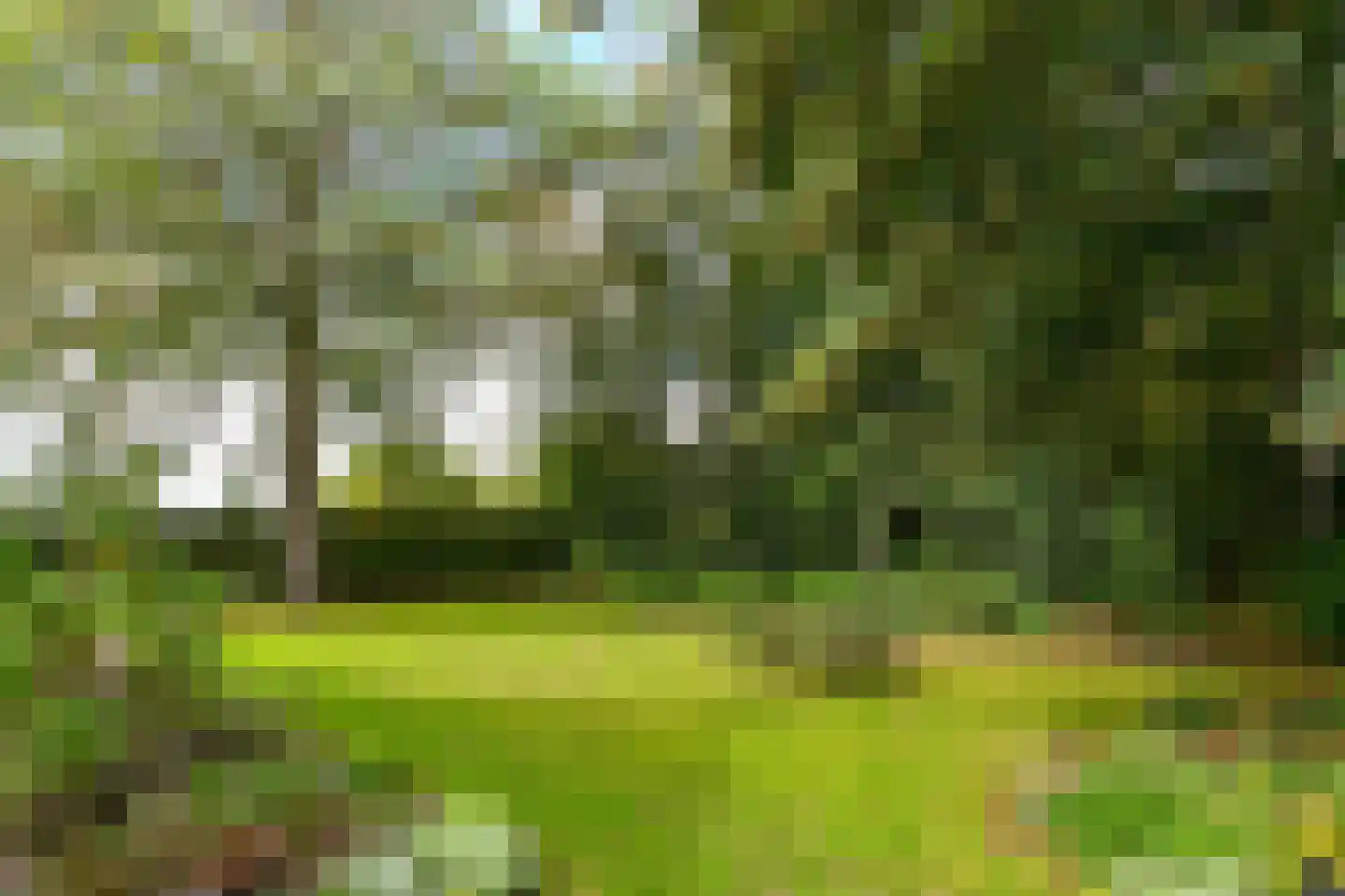 De Riet 16 Nederweert-Eind thumbnail 42