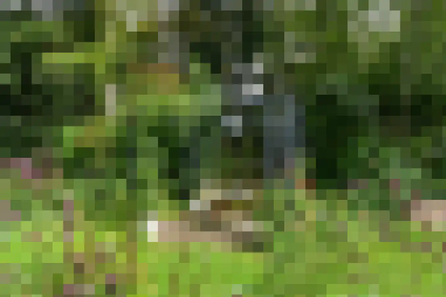 De Riet 16 Nederweert-Eind thumbnail 43