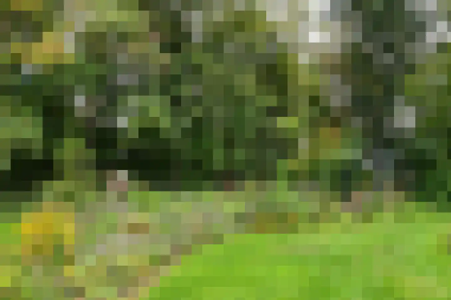 De Riet 16 Nederweert-Eind thumbnail 46