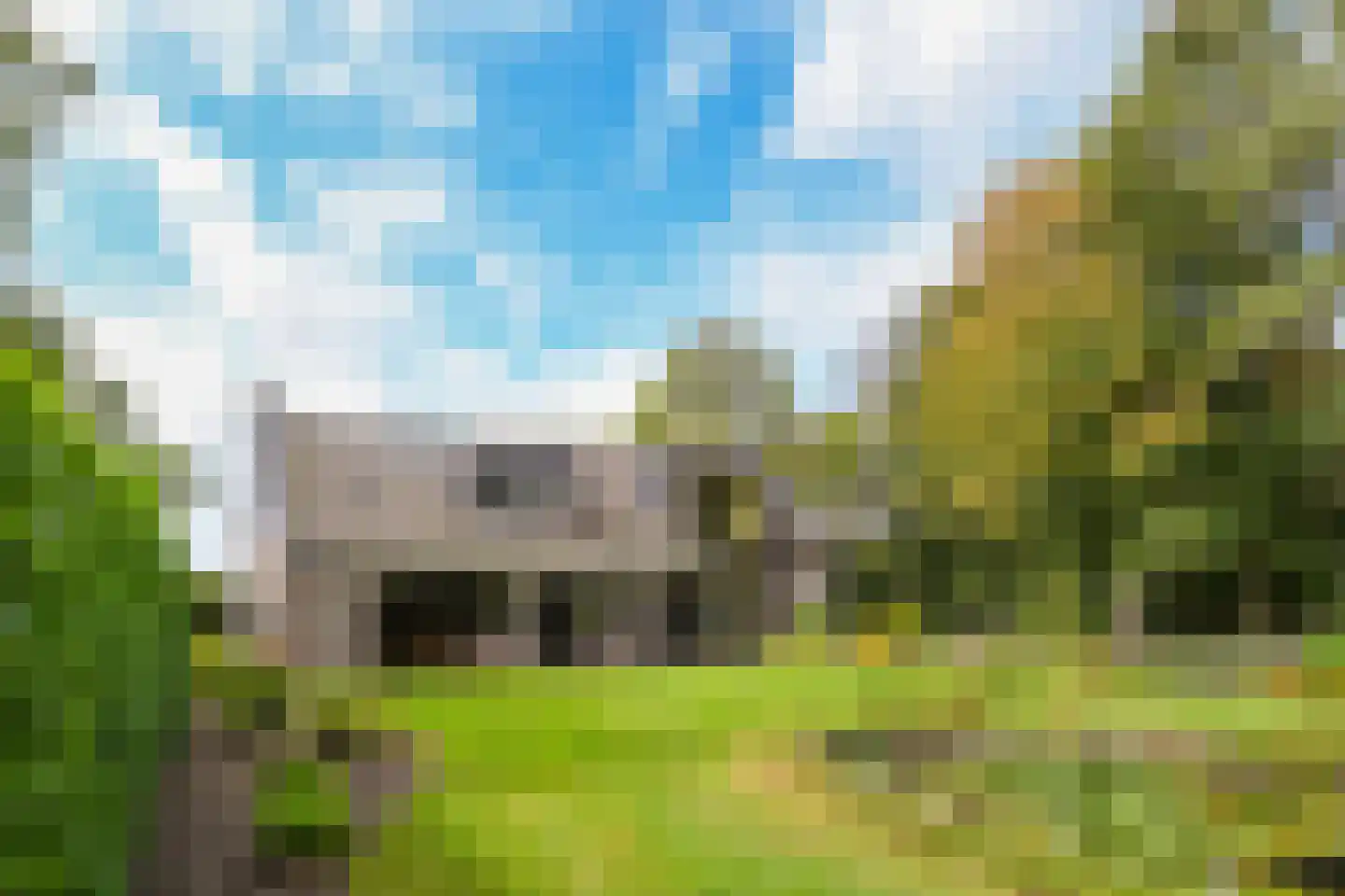De Riet 16 Nederweert-Eind thumbnail 49