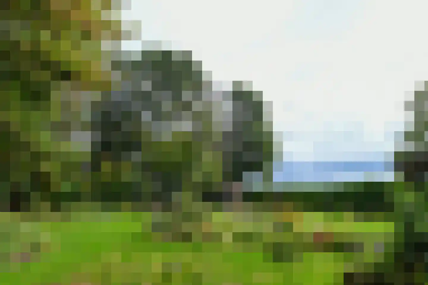 De Riet 16 Nederweert-Eind thumbnail 50