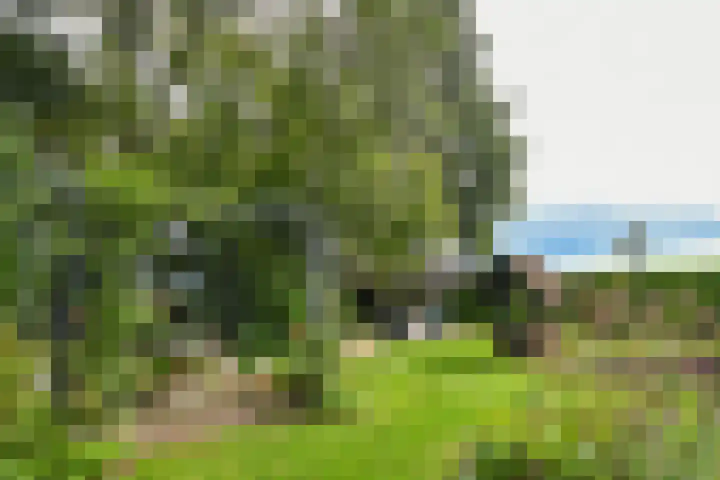 De Riet 16 Nederweert-Eind thumbnail 53