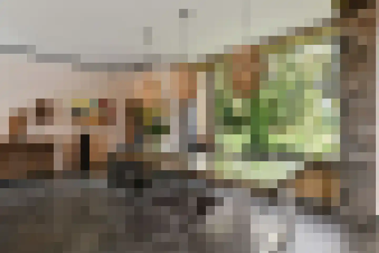 De Riet 16 Nederweert-Eind thumbnail 6