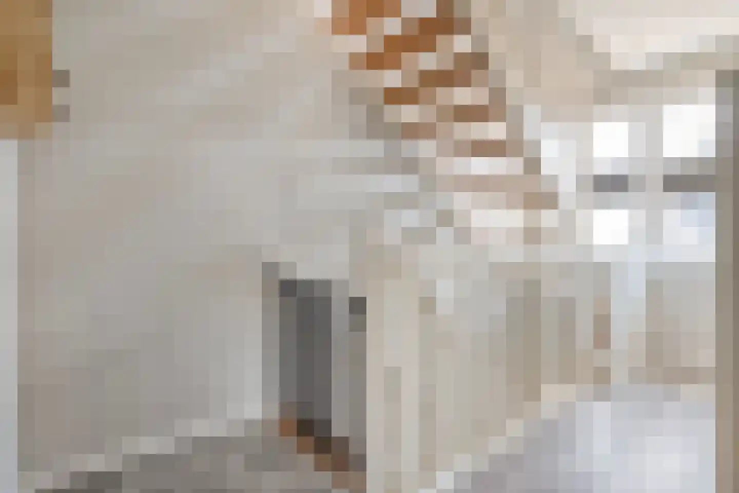 De Rietakker 39 Vasse thumbnail 18