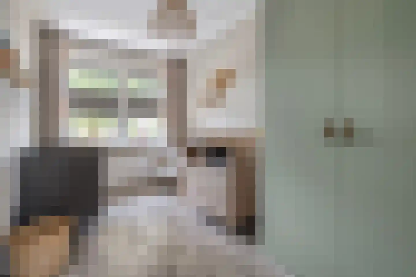 De Rietakker 39 Vasse thumbnail 21