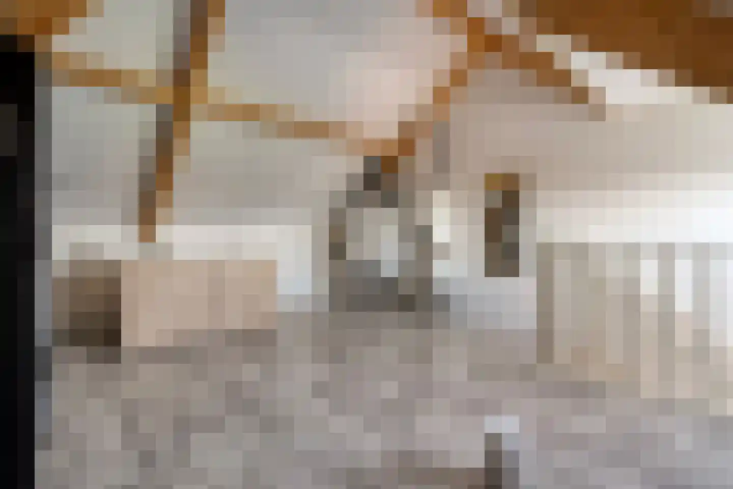De Rietakker 39 Vasse thumbnail 26