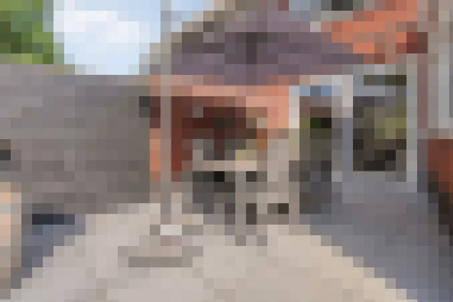 De Rietakker 39 Vasse thumbnail 27