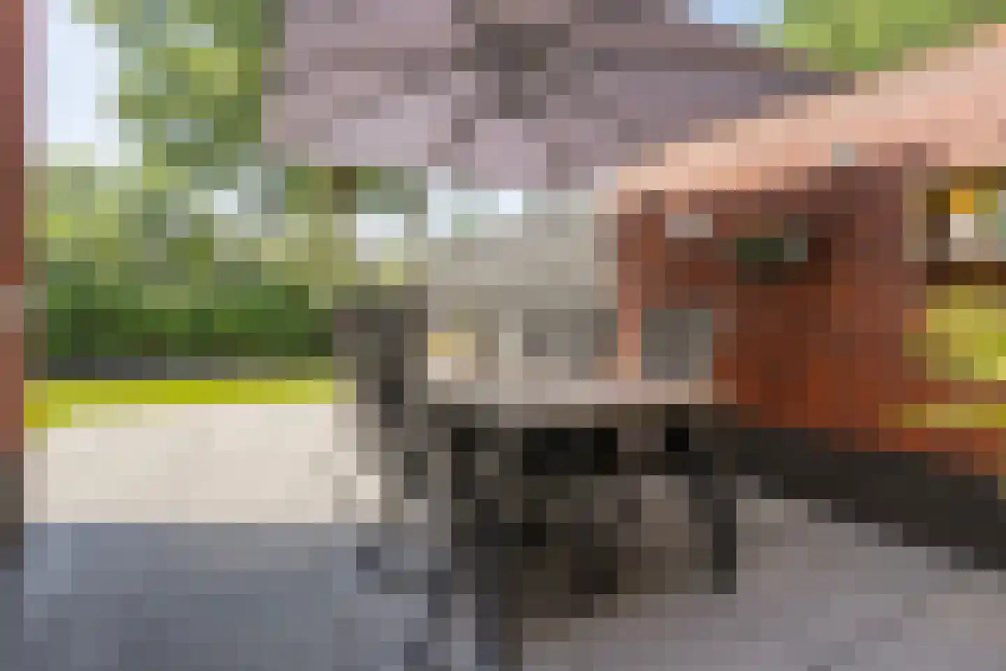 De Rietakker 39 Vasse thumbnail 28