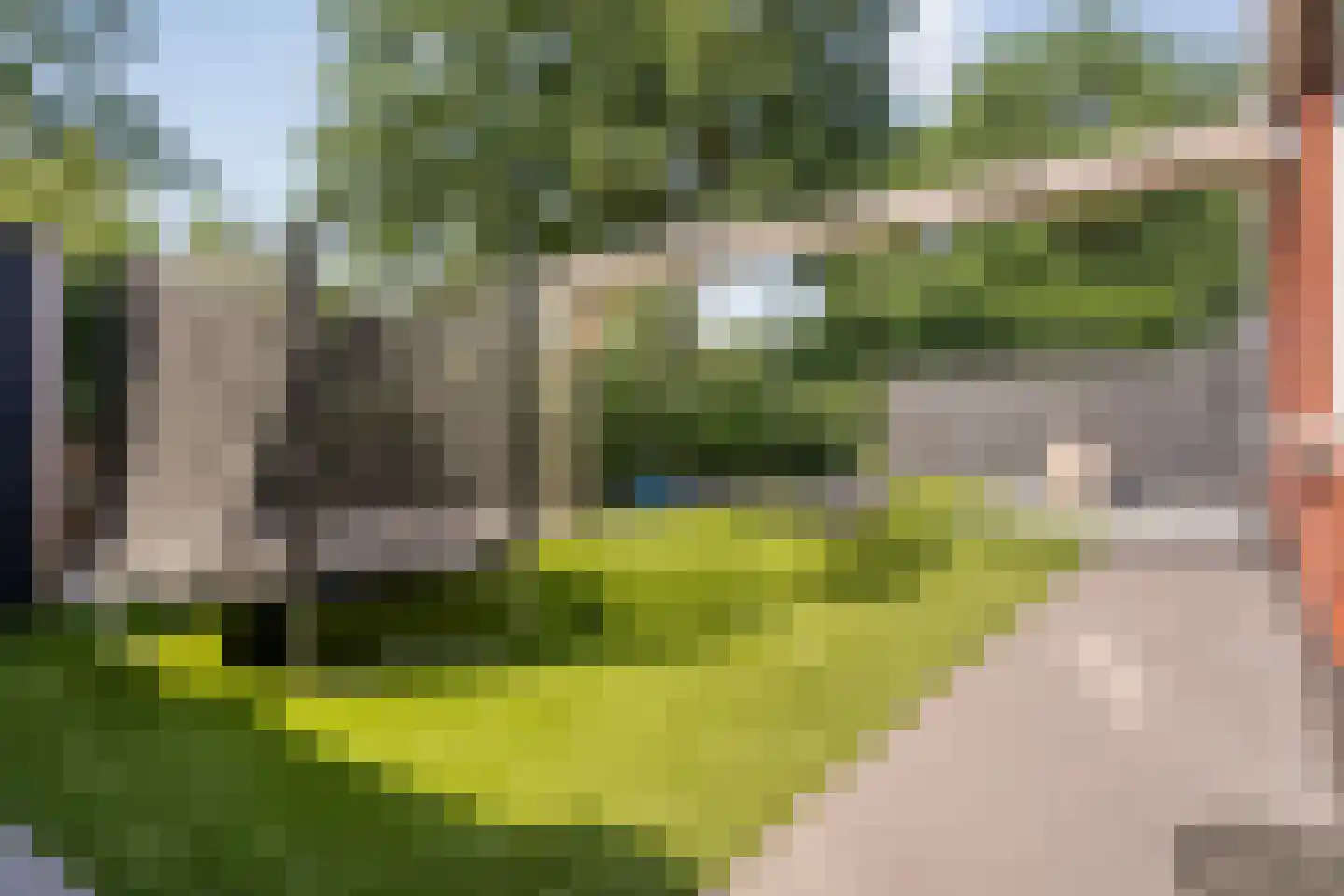 De Rietakker 39 Vasse thumbnail 31