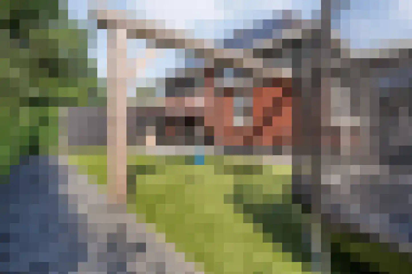 De Rietakker 39 Vasse thumbnail 32