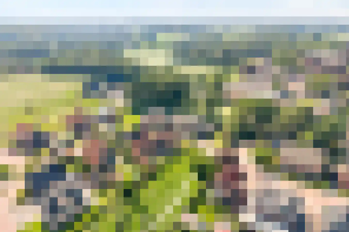 De Rietakker 39 Vasse thumbnail 33