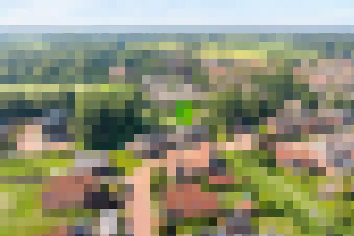 De Rietakker 39 Vasse thumbnail 34