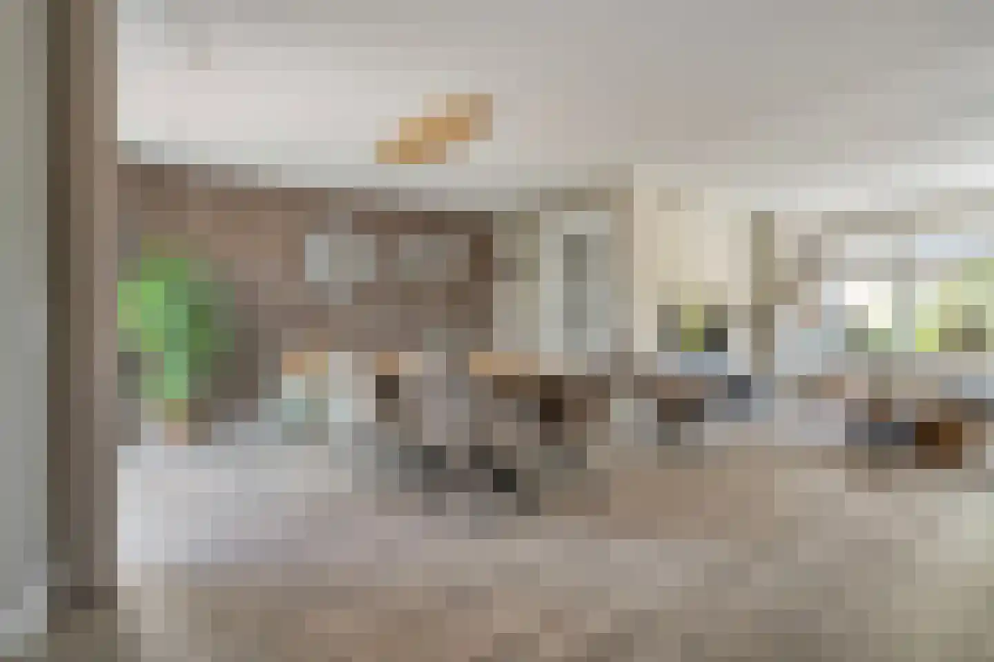 De Rietakker 39 Vasse thumbnail 7
