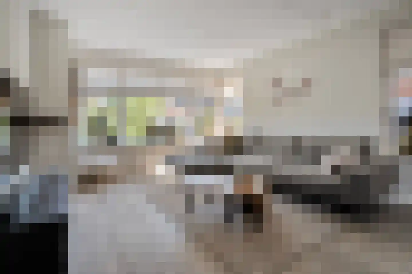 De Rietakker 39 Vasse thumbnail 8