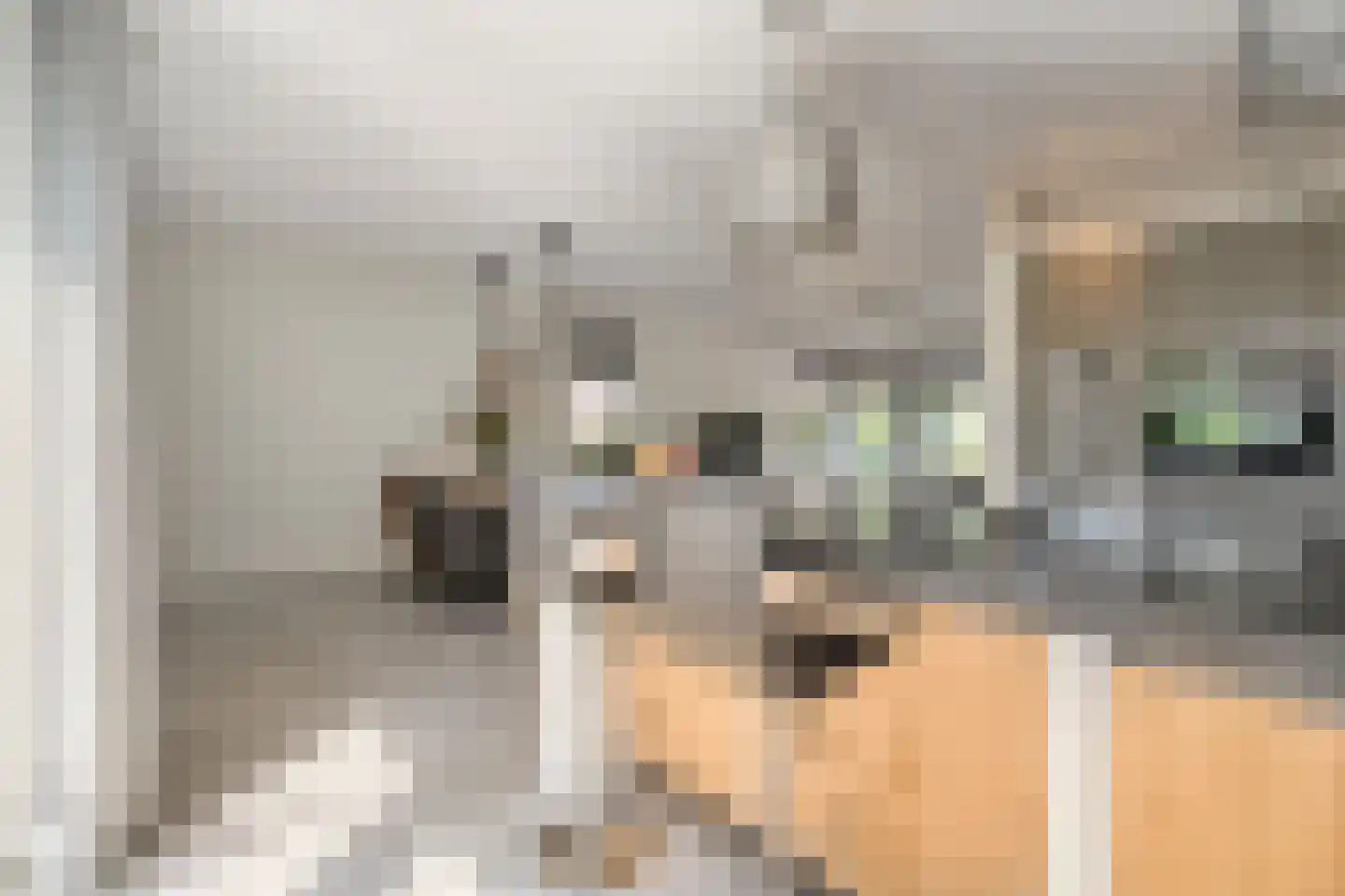 De Rietakker 41 Vasse thumbnail 10