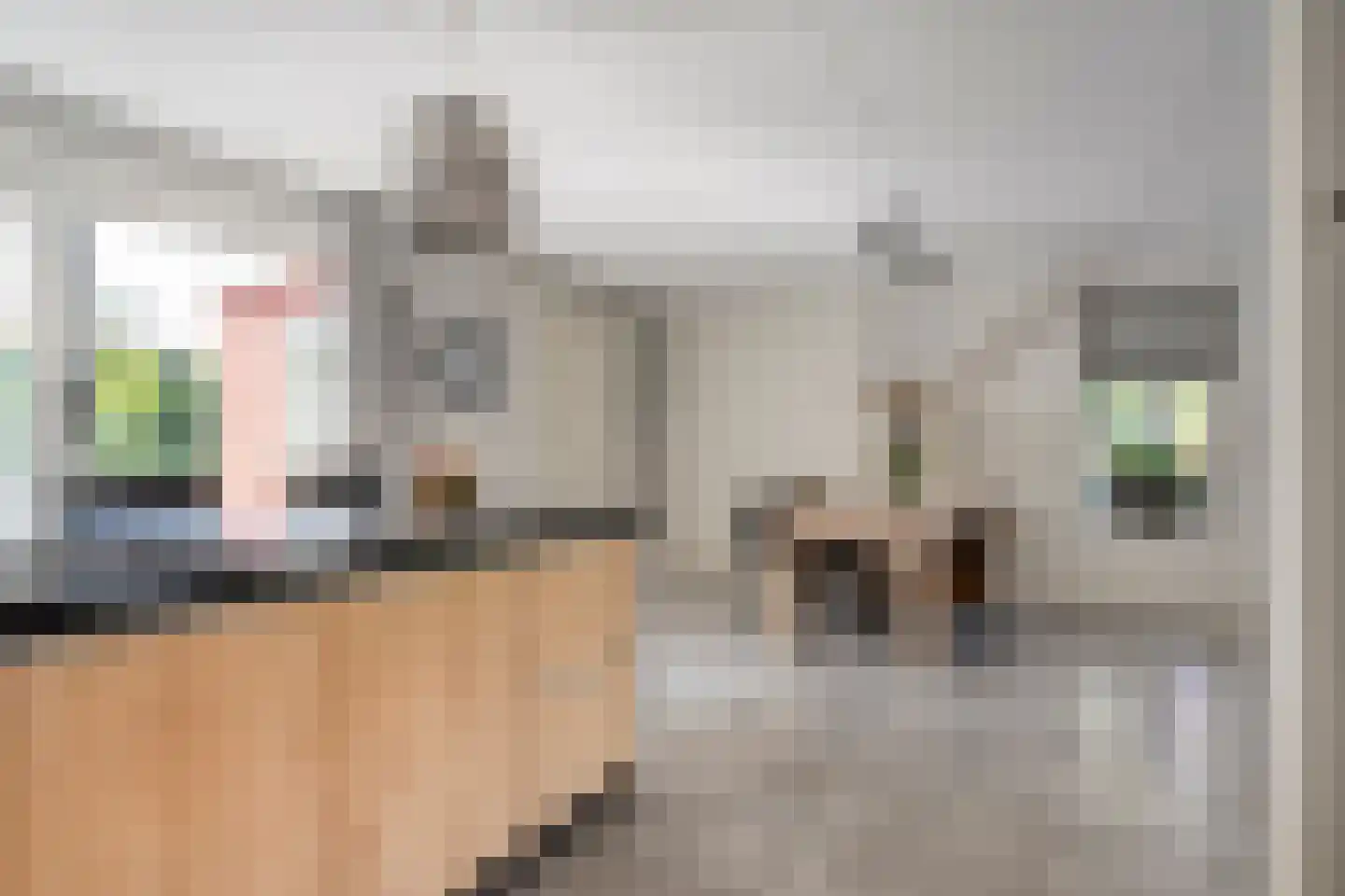 De Rietakker 41 Vasse thumbnail 12