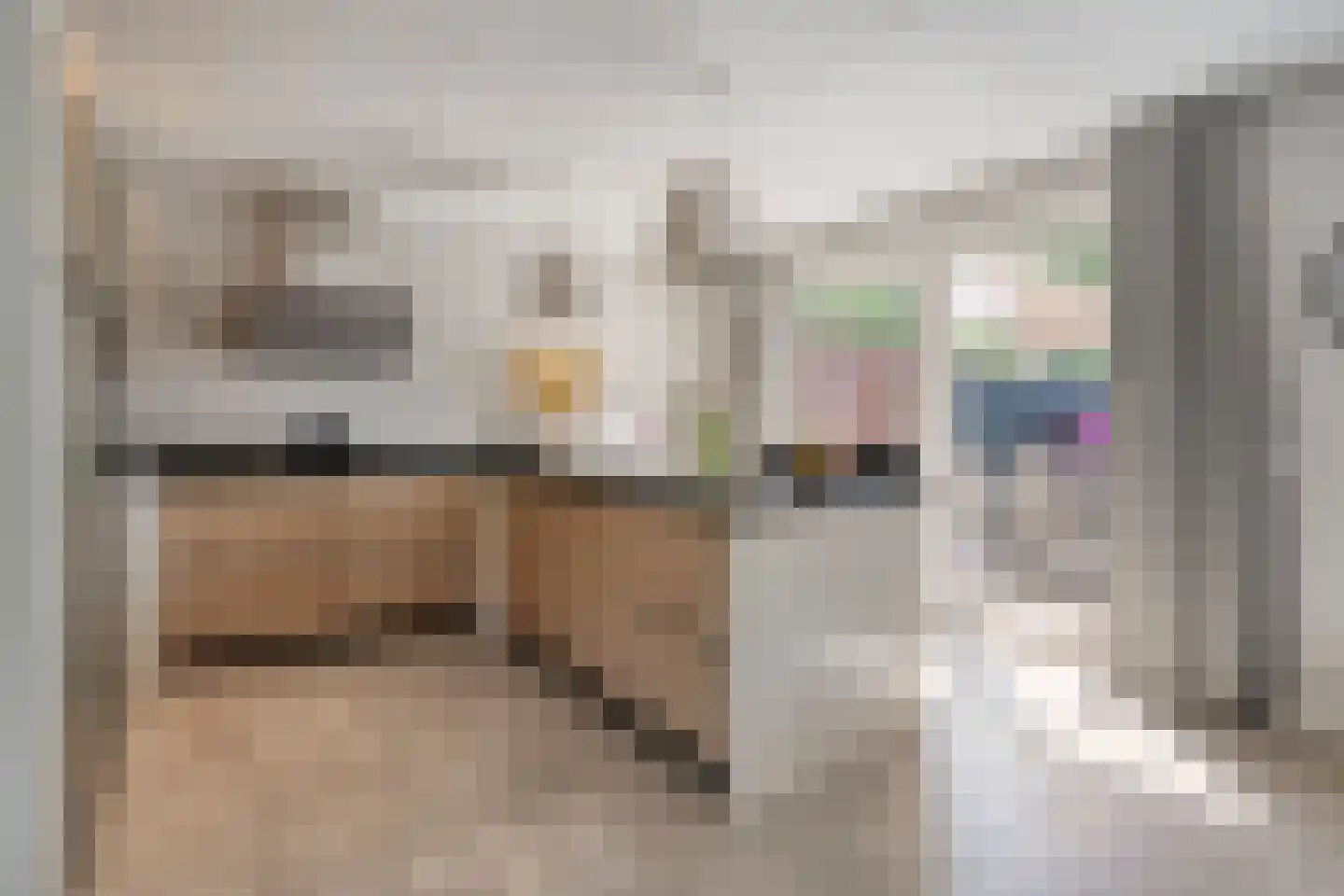 De Rietakker 41 Vasse thumbnail 13