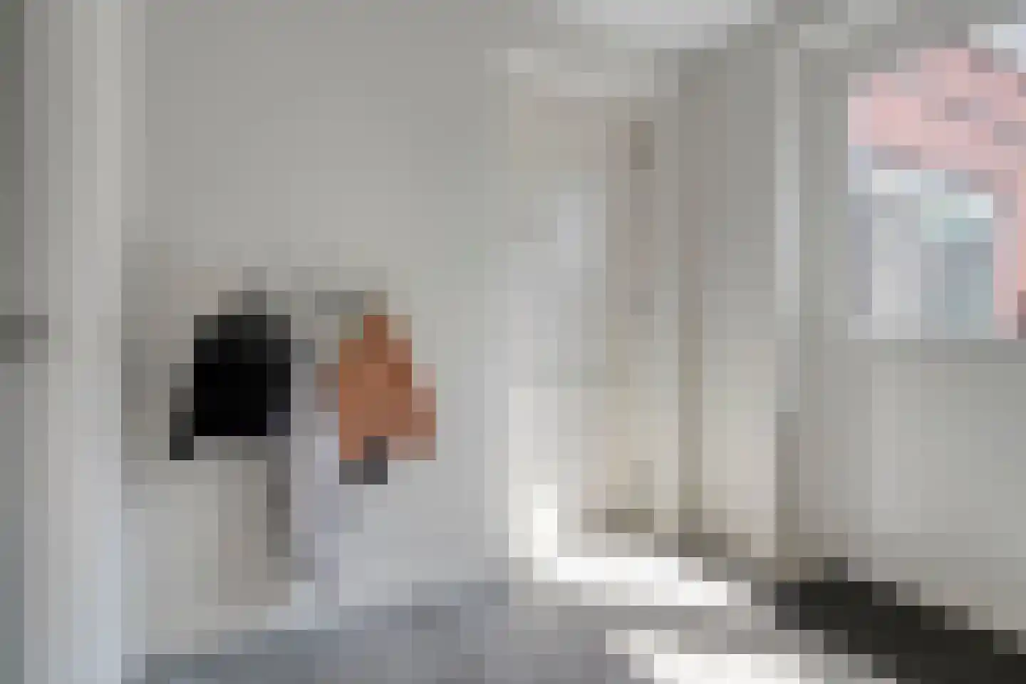 De Rietakker 41 Vasse thumbnail 15