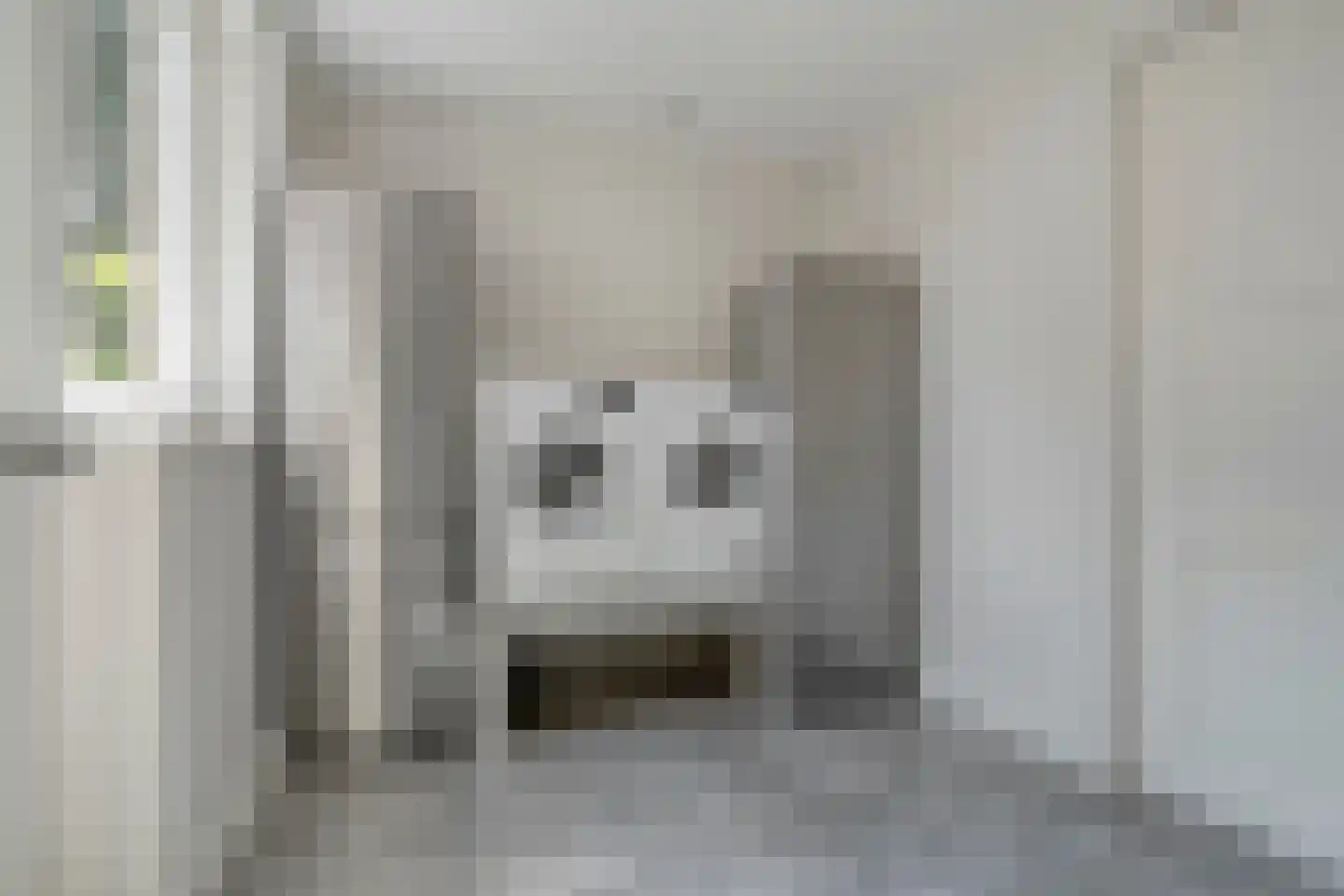 De Rietakker 41 Vasse thumbnail 16