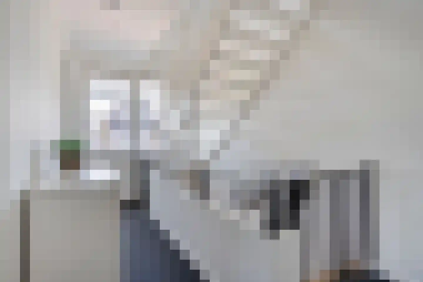 De Rietakker 41 Vasse thumbnail 18