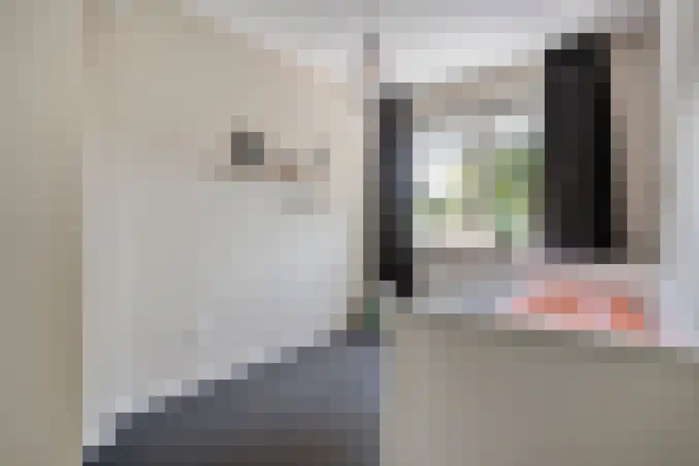 De Rietakker 41 Vasse thumbnail 19