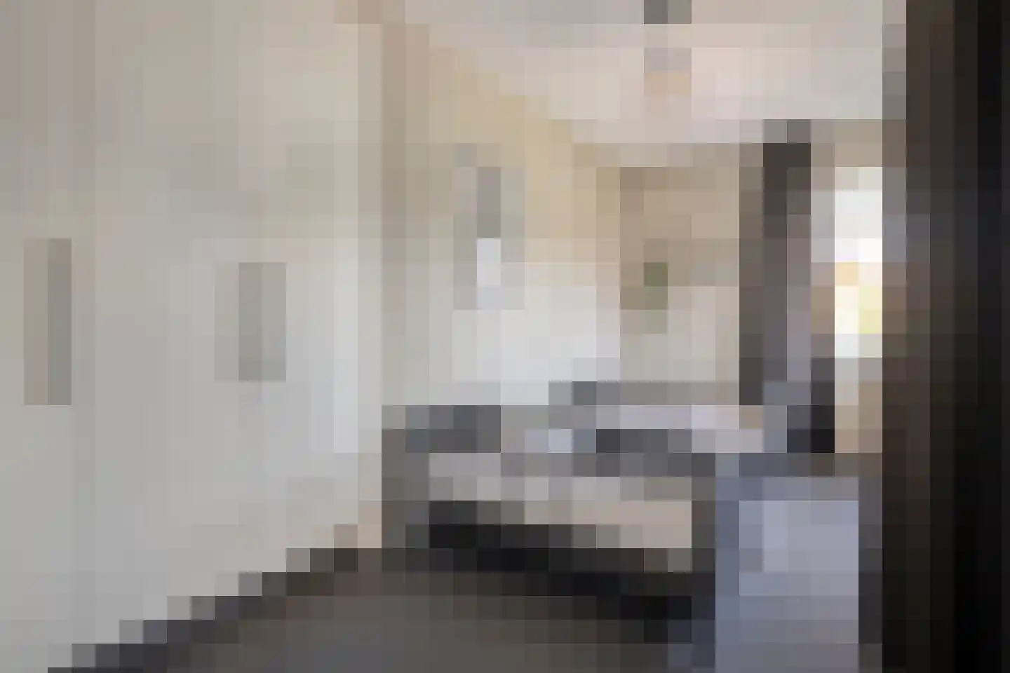 De Rietakker 41 Vasse thumbnail 20