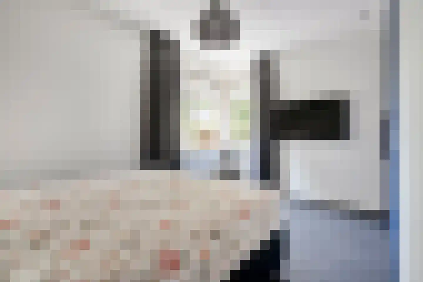 De Rietakker 41 Vasse thumbnail 21